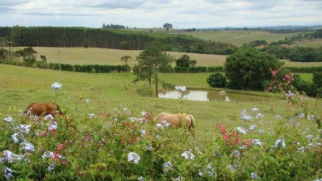 Fazenda - Venda - Morro do Alto - Itapetininga - SP