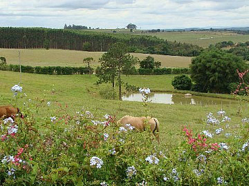 Fazenda Monte Verde